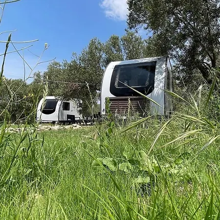 Caravan *