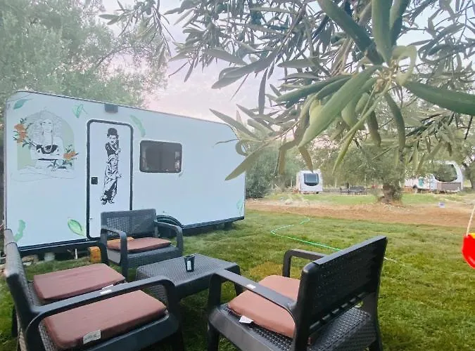 Caravan *