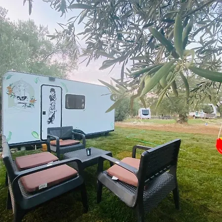 Caravan *