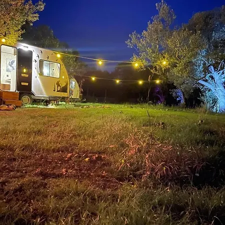 Caravan